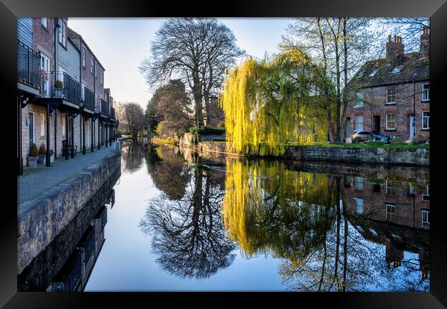 Reflections of Ripon Framed Print by Tim Hill