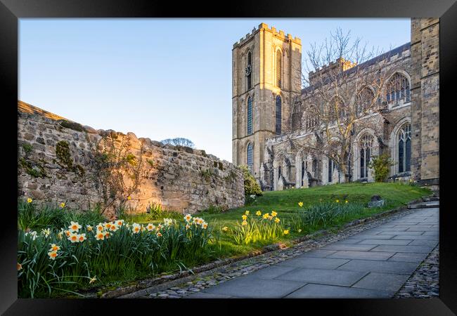 Ripon Cathedral Easter Weekend 2023 Framed Print by Tim Hill