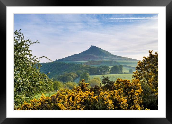 Roseberry Topping: Spring Landscape Framed Mounted Print by Tim Hill