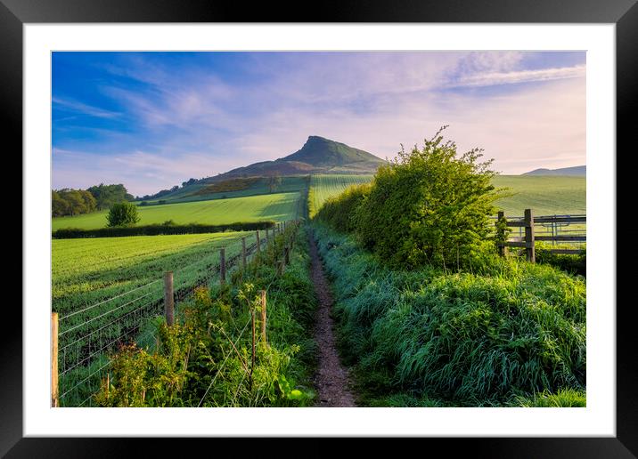 Roseberry Topping: Lush Spring Landscape Framed Mounted Print by Tim Hill