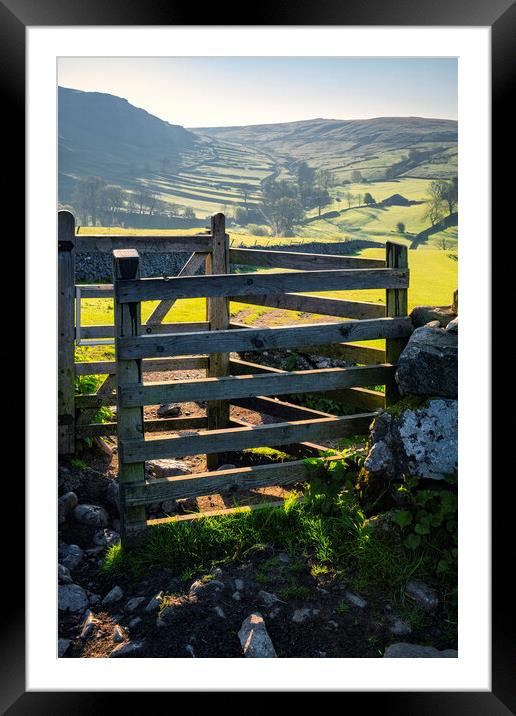 Dry Stone Wall Terraced Hill: Malham Framed Mounted Print by Tim Hill