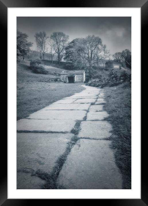 Moody Malham: The path to Janet's Foss Framed Mounted Print by Tim Hill