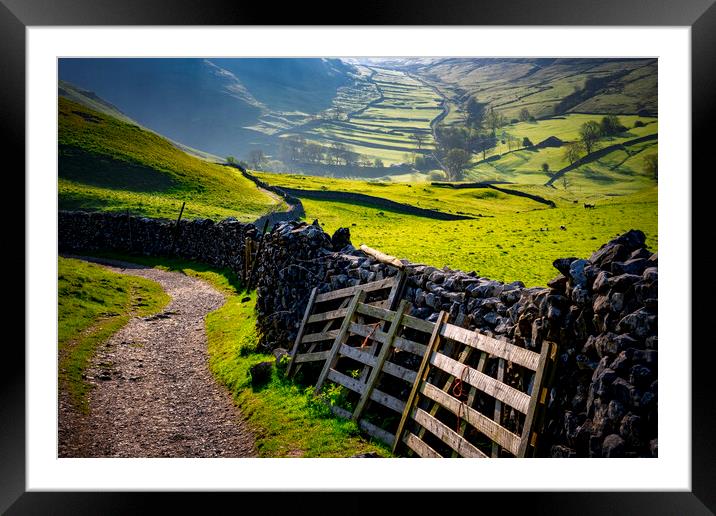 Dry Stone Wall Terrace: Malham Landscape Framed Mounted Print by Tim Hill