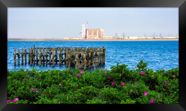South Gare: Hartlepool Nuclear Power Station Framed Print by Tim Hill