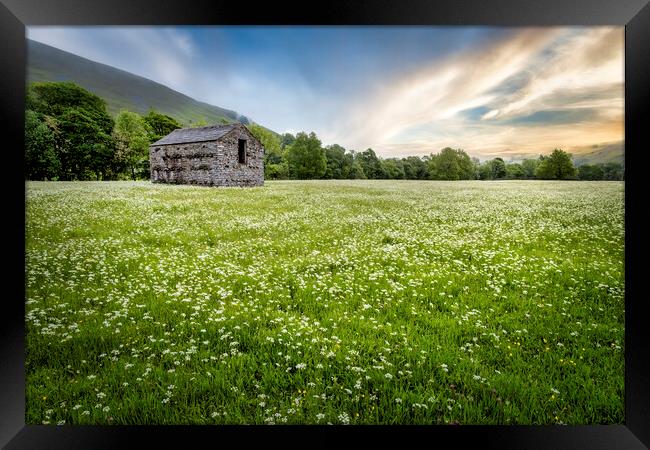 Muker Wildflower Meadows Swaledale Framed Print by Tim Hill