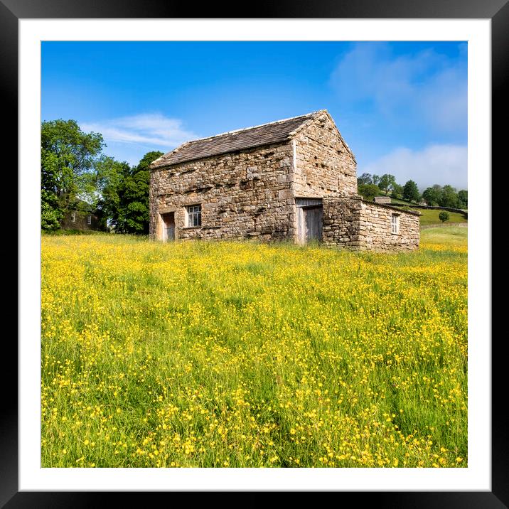 Stone Barn: Muker Wildflower Meadows Framed Mounted Print by Tim Hill