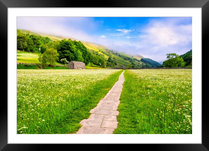 Muker Wildflower Meadows: Yorkshire Dales Framed Mounted Print by Tim Hill