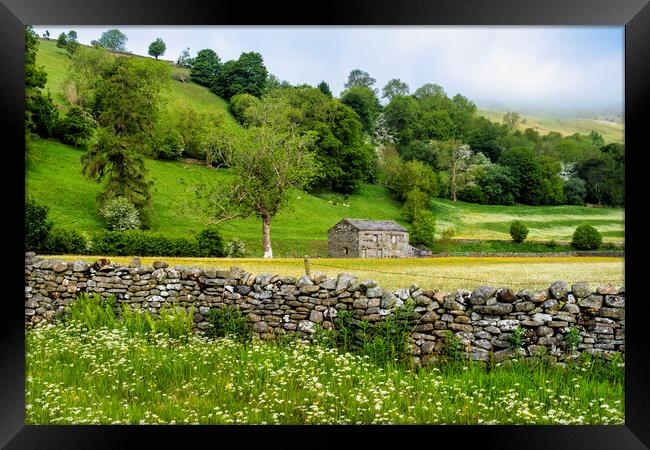 Stone Cattle and Sheep Barn Swaledale Framed Print by Tim Hill