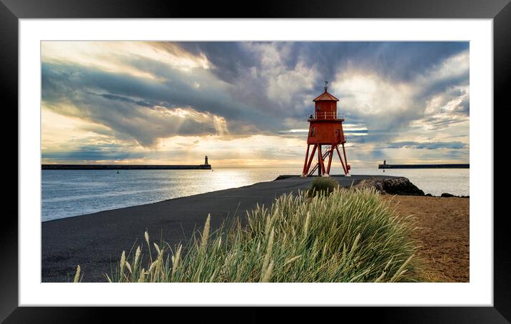 Herd Groyne Lighthouse Framed Mounted Print by Tim Hill