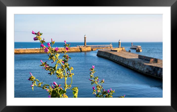 Whitby Piers in Summertime Framed Mounted Print by Tim Hill