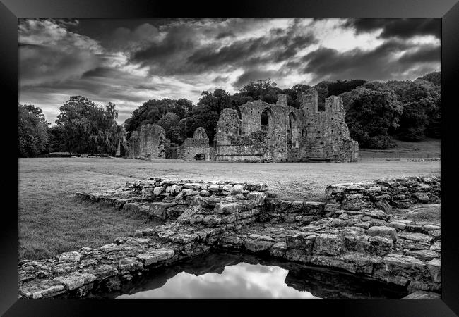 Easby Abbey Yorkshire Framed Print by Tim Hill