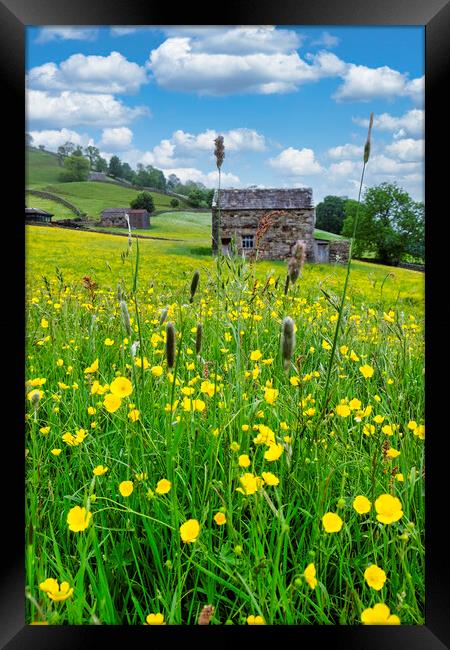 Summer Memories: Muker Wildflower Meadow Framed Print by Tim Hill