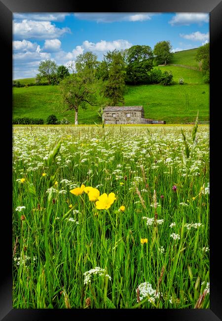 Muker Wildflower Meadow, North Yorkshire Framed Print by Tim Hill