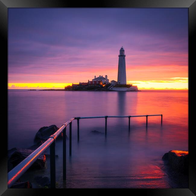 St Mary's Lighthouse Sunrise Framed Print by Tim Hill