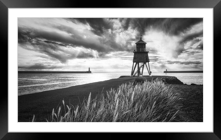 Herd Groyne Black and White Framed Mounted Print by Tim Hill