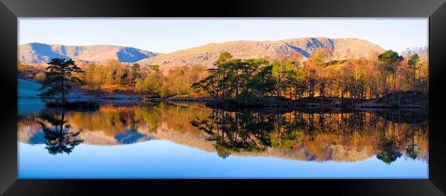 Tarn Hows Reflections Panoramic Framed Print by Tim Hill