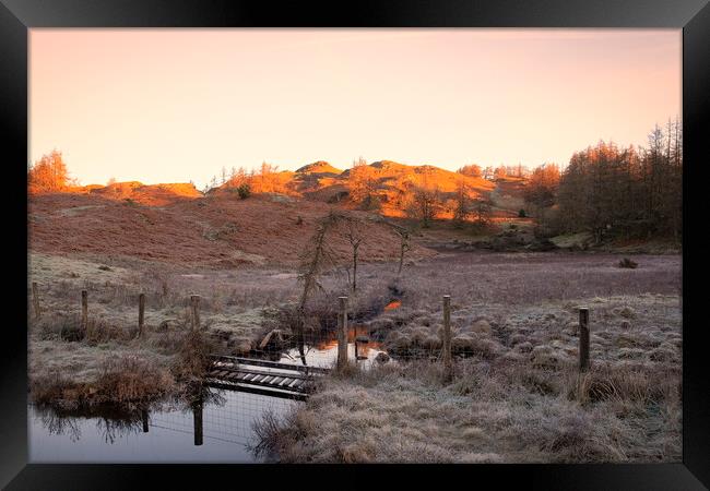 November Sunlight: Tarn Hows Lake District Framed Print by Tim Hill