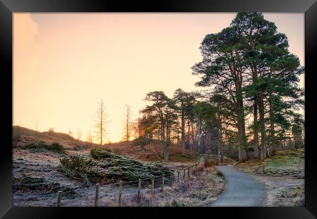 November Sunrise: Tarn Hows Lake District Framed Print by Tim Hill