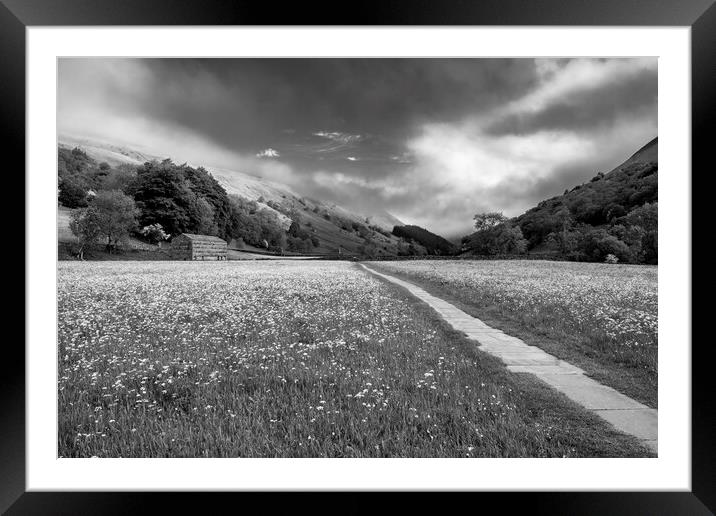 Yorkshire Dales Black and White Framed Mounted Print by Tim Hill