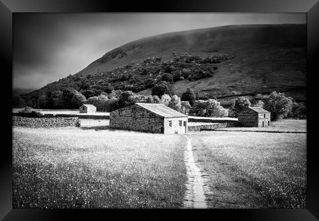 Swaledale Black and White ~ Yorkshire Dales Framed Print by Tim Hill