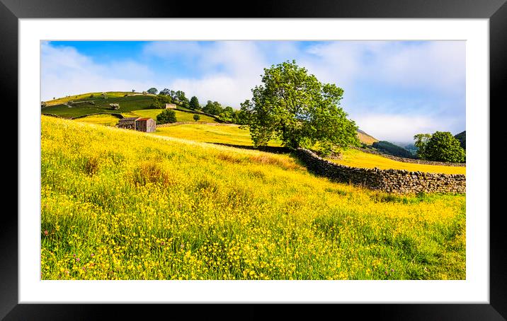 Muker Flower Meadows Swaledale Framed Mounted Print by Tim Hill