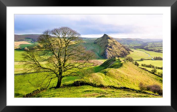 Chrome Hill Lone Tree ~ Derbyshire Peak District Framed Mounted Print by Tim Hill