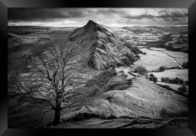 Chrome Hill Lone Tree Black and White Framed Print by Tim Hill