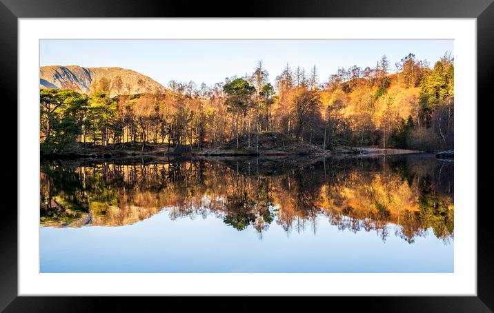 Tarn Hows Reflections: English Lake District Framed Mounted Print by Tim Hill