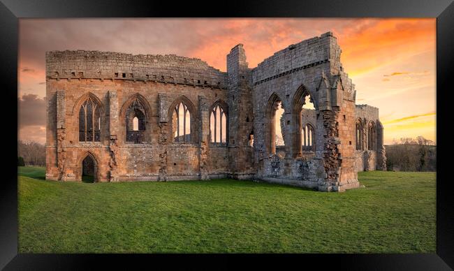 Egglestone Abbey at Barnard Castle Framed Print by Tim Hill