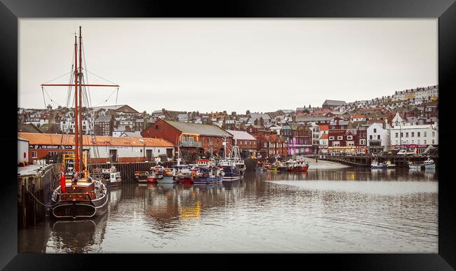 Kommandoren in Scarborough Harbour Framed Print by Tim Hill