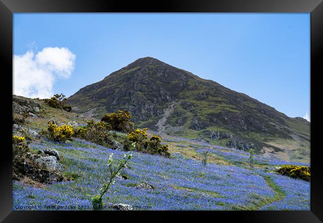 Lakeland Fell in Spring Framed Print by Peter Bardsley