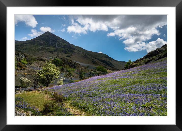 Spring in the Rannerdale Valley  Framed Mounted Print by Peter Bardsley