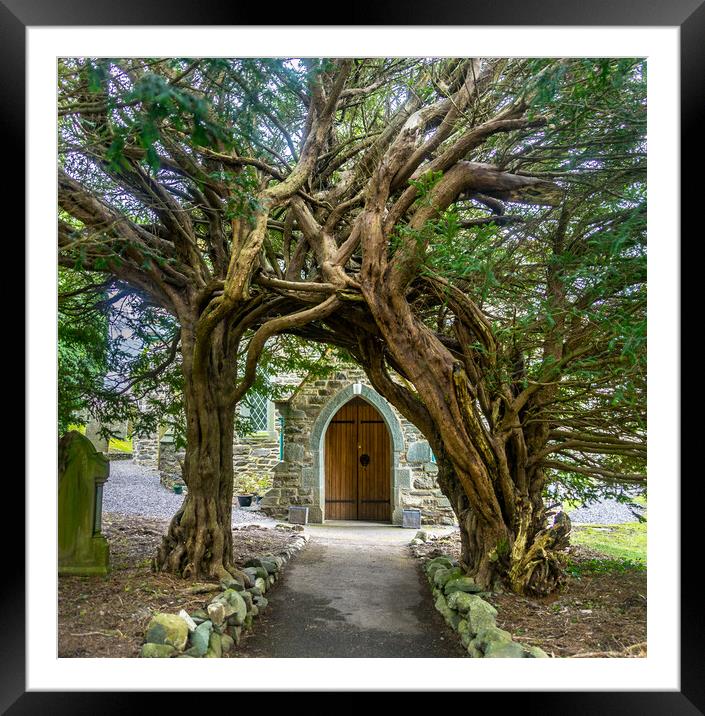 yew tree archway Framed Mounted Print by Peter Bardsley