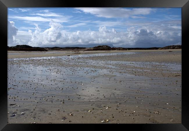 Lugworms on the beach Framed Print by Peter Bardsley