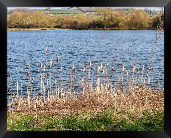 Greystones nature reserve Framed Print by Martin fenton