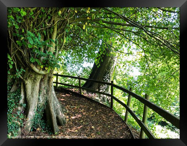 Walking trail Framed Print by Martin fenton