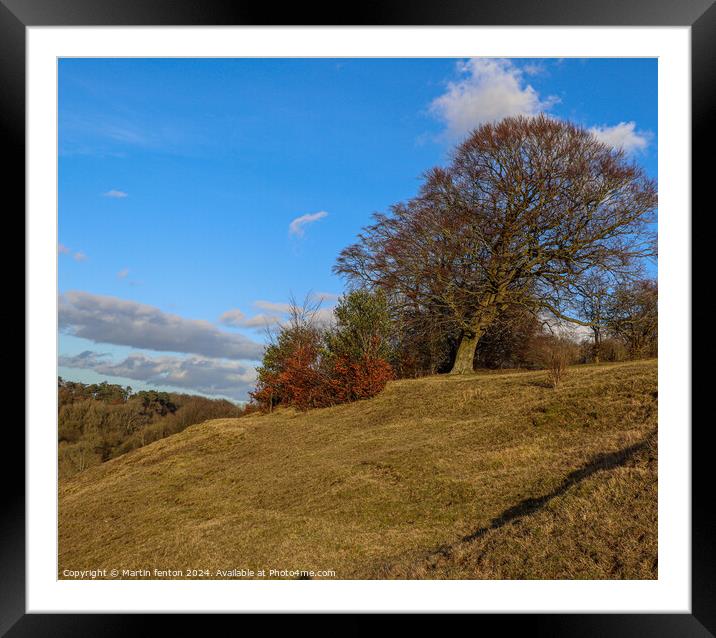 Windswept tree Framed Mounted Print by Martin fenton