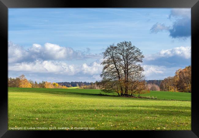 Lonely tree in autumn landscape Framed Print by Lubos Chlubny