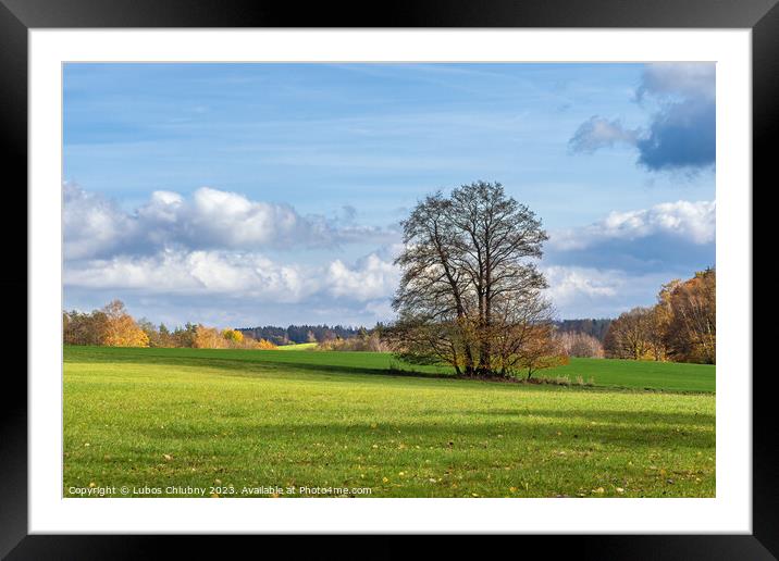 Lonely tree in autumn landscape Framed Mounted Print by Lubos Chlubny