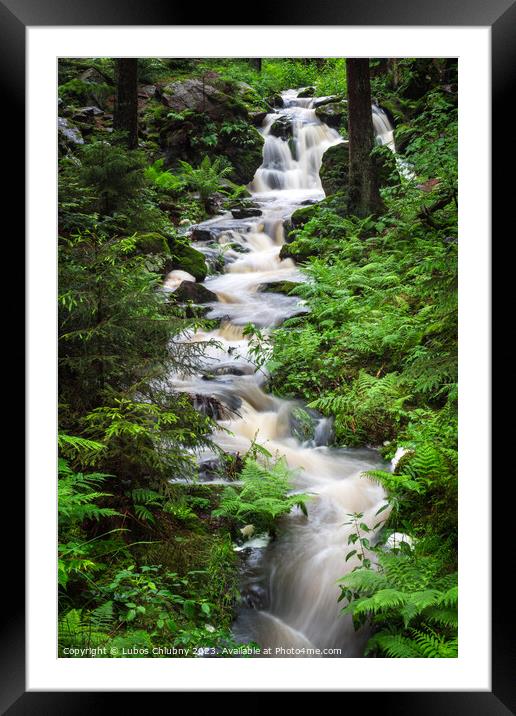 Waterfall, wild river Doubrava in Czech Republic. Valley Doubrava near Chotebor. Framed Mounted Print by Lubos Chlubny
