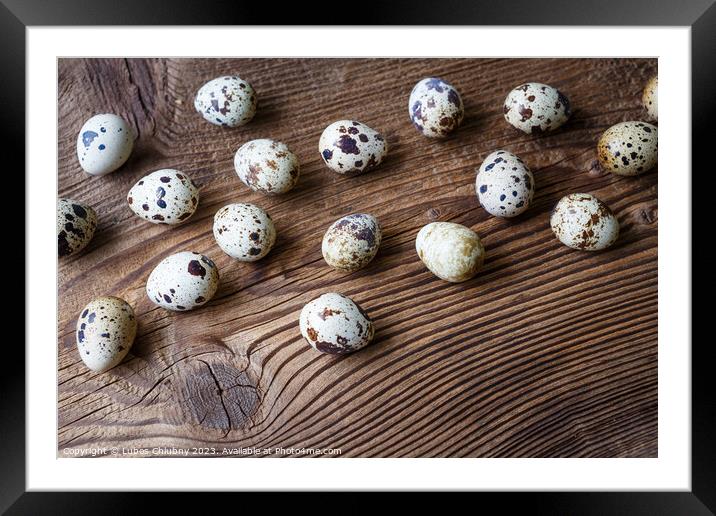 Quail eggs on a wooden board Framed Mounted Print by Lubos Chlubny