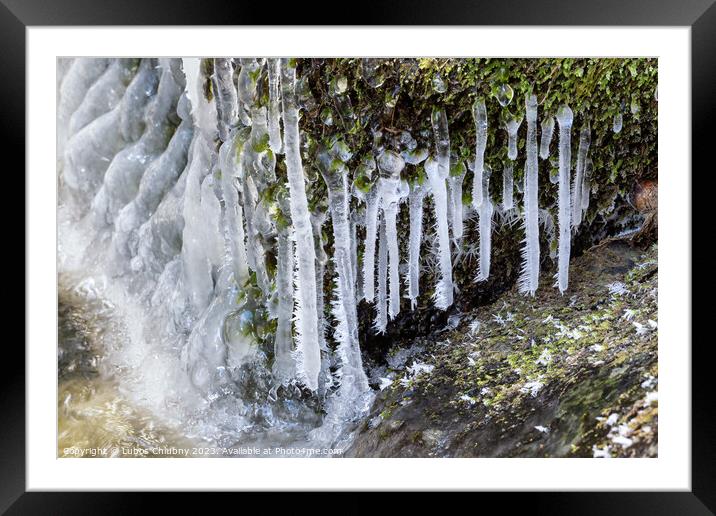 Frost and small icicles on a stone in the river. Spring thaw. Framed Mounted Print by Lubos Chlubny