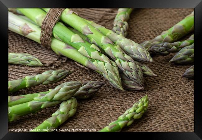 Raw garden asparagus stems. Fresh green spring vegetables on wooden background. (Asparagus officinalis). Framed Print by Lubos Chlubny
