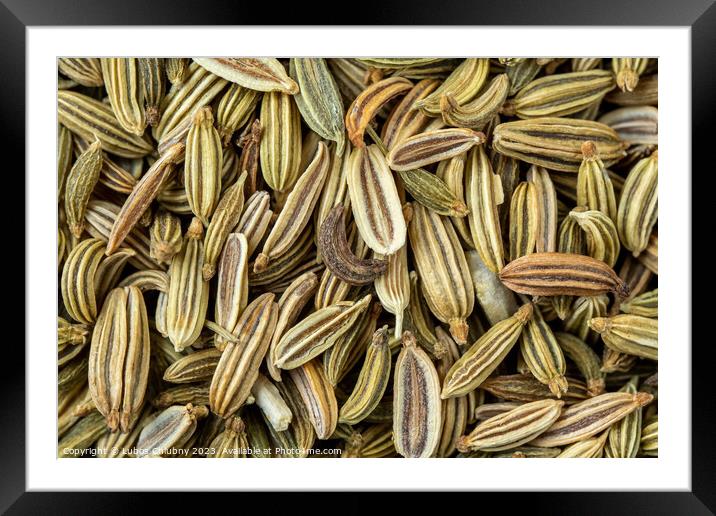 Dried fennel seeds aromatic spice, food background Framed Mounted Print by Lubos Chlubny