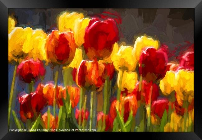 Beautiful spring flowers Framed Print by Lubos Chlubny