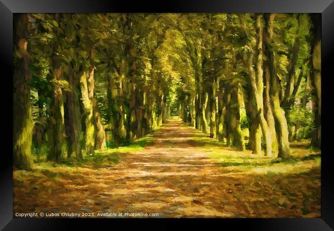 Oil painting pathway through the autumn forest.  Framed Print by Lubos Chlubny