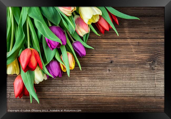 Colorful tulips on wooden table Framed Print by Lubos Chlubny