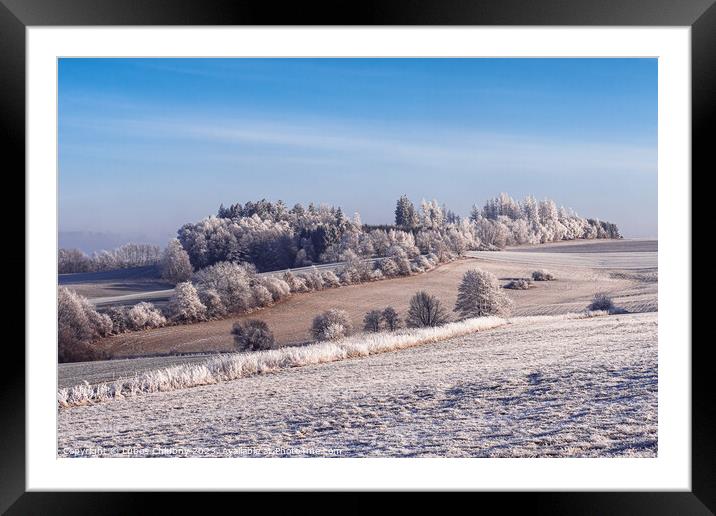 Winter landscape with frozen trees in field and blue sky Framed Mounted Print by Lubos Chlubny