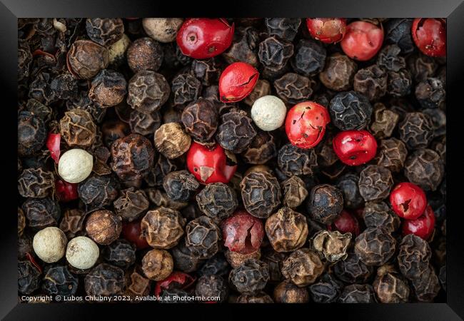 Mixed peppercorns background. Different colored peppercorns Framed Print by Lubos Chlubny
