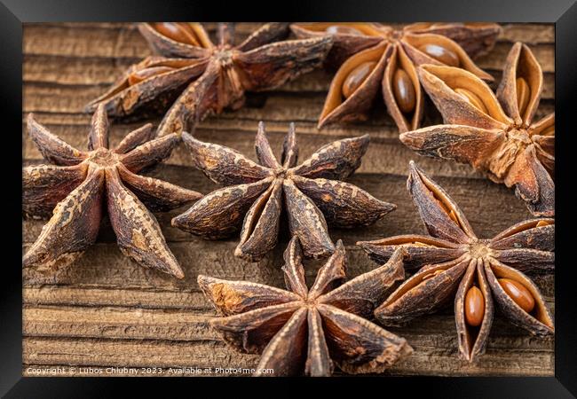 Dried star anise spice on vintage wooden board Framed Print by Lubos Chlubny